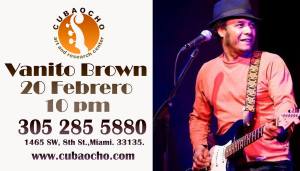 20 feb vanito brown